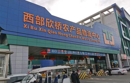 春節(jié)前走進西部欣橋農(nóng)產(chǎn)品物流中心,為你探菜價肉價